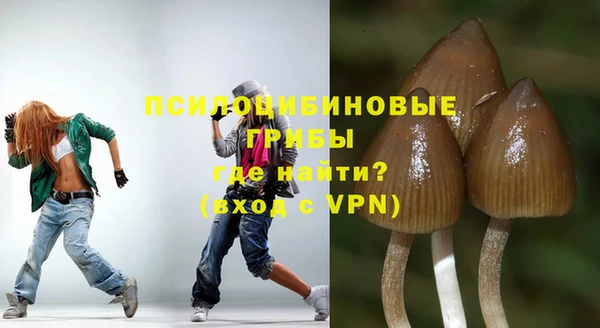 дурь Нефтекумск