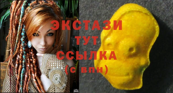 apvp Надым