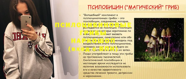 кокс Нея