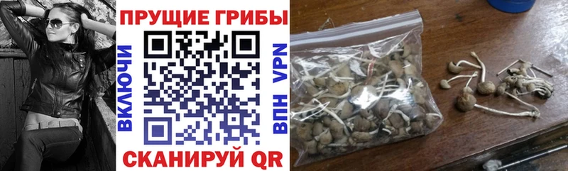 Галлюциногенные грибы Magic Shrooms  Онега 